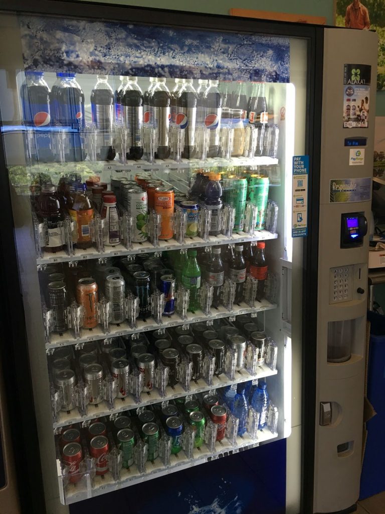 2656 image2 768x1024