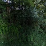 4720 image1 150x150