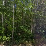 7522 image1 150x150