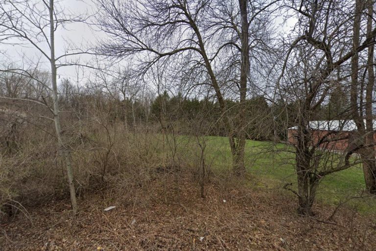 7656 image1 768x512